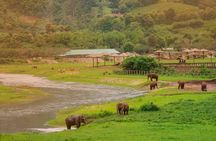 Elephant Sanctuary + Waterfall + Bamboo Rafting One Day Trip