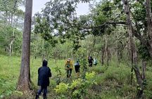 Kirirom National Park Day Hike