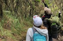 *Kilimanjaro 5-Day Hike*