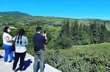 Athens Wine Tour with Wine Expert