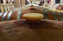 Athens Wine Tour with Wine Expert
