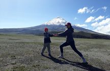 Cotopaxi-Quilotoa-Baños-Puyo 4d/3n with accommodation and transportation