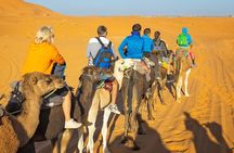 Desert adventure from Marrakech to erg chebe overnight in camp 