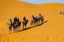 Desert adventure from Marrakech to erg chebe overnight in camp 