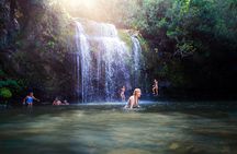Private Ohana Kohala Waterfalls Adventure 