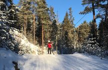 The Ultimate Norwegian Skiing Experience