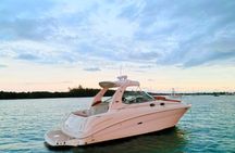 Private Captained Boat Tour in Miami for up to 12 Passengers
