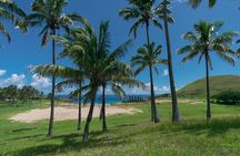 2 Days Highlights Tour in Easter Island Moai and Nature