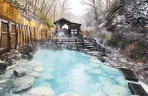 Yamagata / Yamadera 6hr Private Trip with Licensed Guide