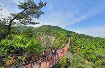 Insightful DMZ Tour by Expert opt. Suspension Bridge with Pickup