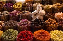 Museum of the Future to Old Dubai: Enjoy Eureka Cultural Journey