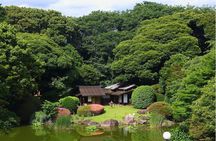 Tokyo National Museum Private Tour