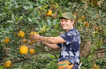 Hanoi Cooking Class in a Haven of Tranquility - Thom culinary