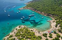 Aegina, Moni & Perdika Private Boat Tour: Sun, Sea & Serenity