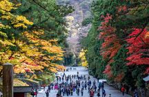 Nikko Private Customizable Half Day Tour