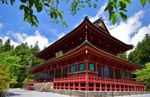Nikko Private Customizable Half Day Tour