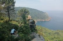Mountain Bike Small Group Tour in San Sebastian