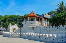 Colombo To Pinnawala & Kandy Luxury Day Tour by Car/Van/Bus