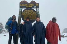 Lemosho Route 8 Days Kilimanjaro Climbing Tour