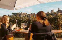 Essence of Tuscany - Private Wine & Evo oil Tasting