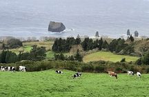 Guided Visit to the Crater and Volcano of Lagoa das Sete Cidades