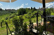 Private Tuscan Lunch with Wine & Evo oil tasting in the Vineyard