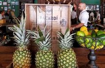 Little Havana Cuban Food Tour For Corporate Groups