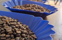 San José Coffee Crawl