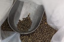 Private Roasting and Cupping Coffee Experience
