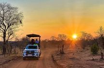 3 Hours Braai/BBQ Safari Game Drive in Zambezi National Park 