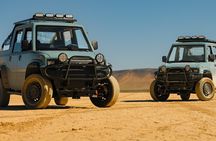 Las Vegas Strip and Downtown Las Vegas Guided Tours