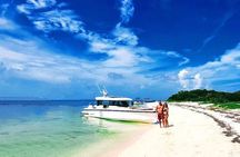 Half Day Luxury Boat Tour in Key West with Snorkeling 