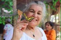 Butterflies, City tour, tequila, and beach (kids free)