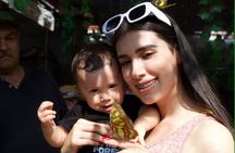 Butterflies, City tour, tequila, and beach (kids free)