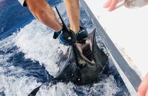 8 Hour Private Fishing Charter in Kailua-Kona, Hawaii