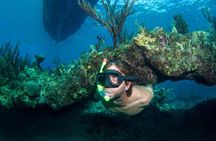 3HR Emerald reef snorkeling, iguana island and shipwreck tour