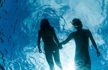 3HR Emerald reef snorkeling, iguana island and shipwreck tour
