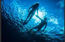 3HR Emerald reef snorkeling, iguana island and shipwreck tour