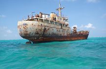 3HR Emerald reef snorkeling, iguana island and shipwreck tour