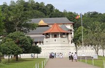 12-Day Private Guided Tour in Sri Lanka
