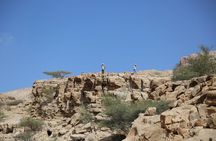 Desert safari Wahiba Sands Wadi Bani Khalid 