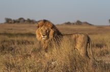 Overnight Safari to Severin Camp ;Pickup from Mombasa