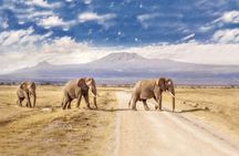 Overnight Safari to Severin Camp ;Pickup from Mombasa