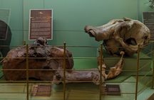 Nairobi City Tour: Nairobi Museum, KICC Rooftop & Railway Museum