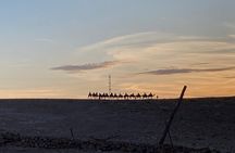 Agafay package dîner and show (quads&camels)