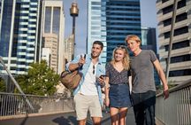 Houston Highlights, Culture, Science and Art Tour