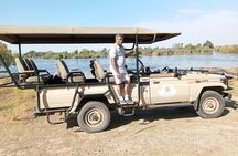 Rhino Game Drive