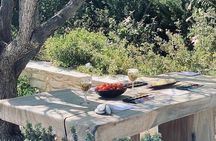 4-Hour Tour of Paros Wine Tasting