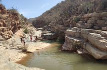 Half Day Tour to Paradise Valley