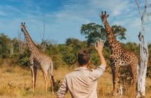 7-Day Masai Mara Nakuru Amboseli Kenya Budget Safari